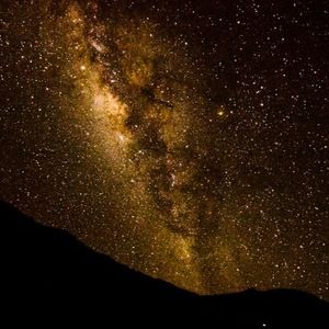 Meet your Posher, Abigale